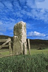 Tingwall Stone